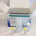 GenSolve