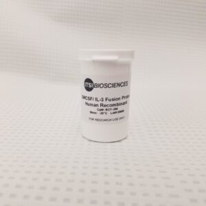 Recombinant Proteins and Antibodies