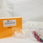 Urine Protein Isolation Kit (ToPI-U, K-0019)