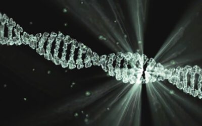 3 Guidelines to Follow When Collecting Forensic DNA