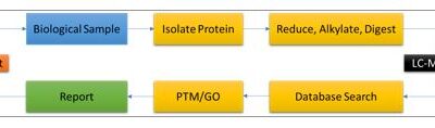 MASS SPECTROMETRY PROTEIN ANALYSIS IN CANCER RESEARCH