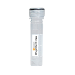 ITSIprotect DNA (K-0050)