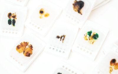 Unlocking Proteomics from FFPE Samples: Introducing the ToPI-F2 Total Protein Isolation Kit